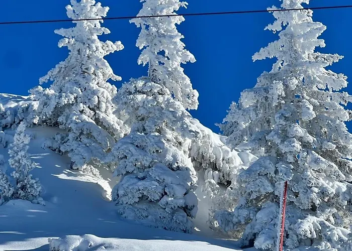 Silbermond Apartamento Schladming